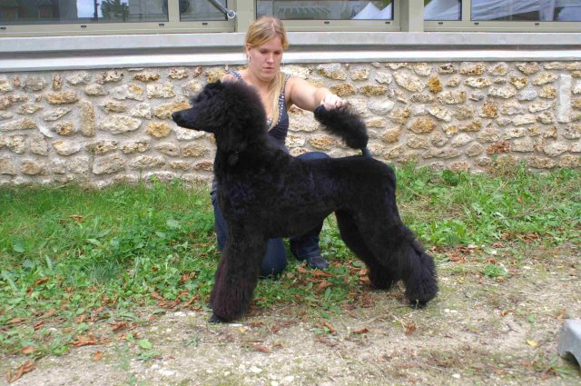 foire-haricots 2011-09-17et18